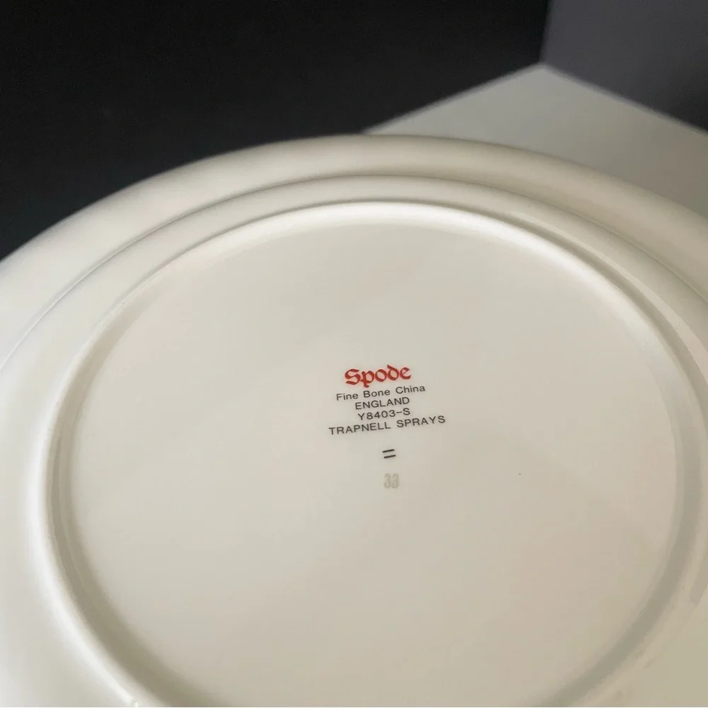 Trapnell Sprays Salad & Bread Plates by Spode